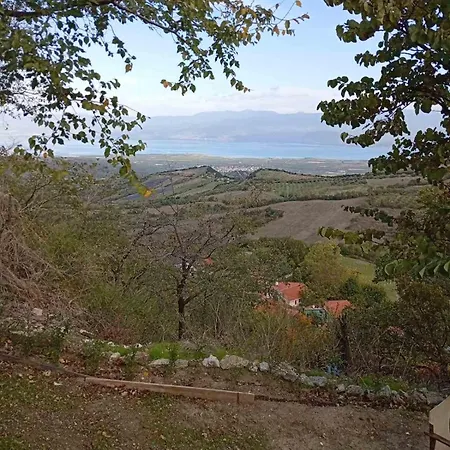 The αγιου χαραλαμπου *